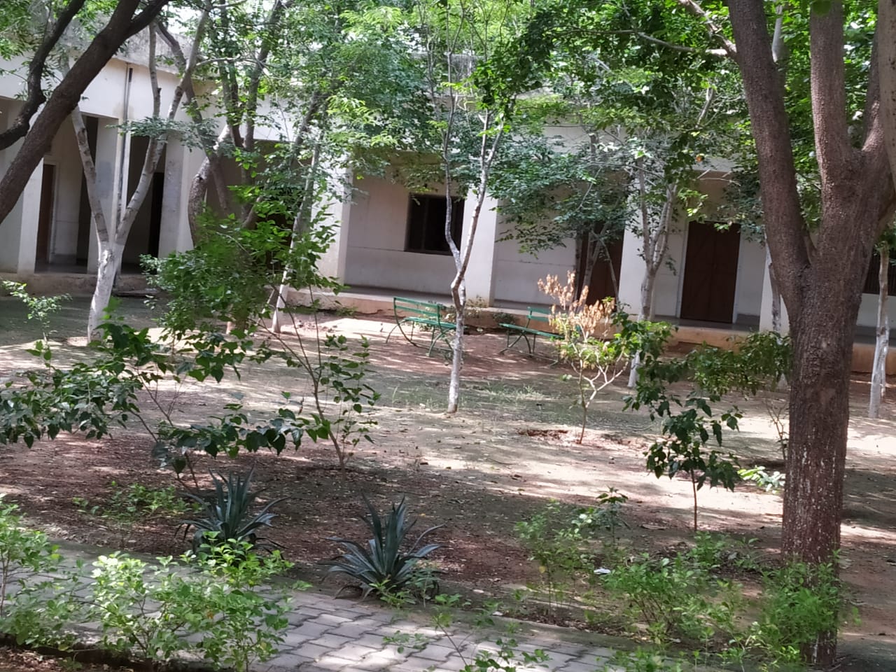 College Banner 3